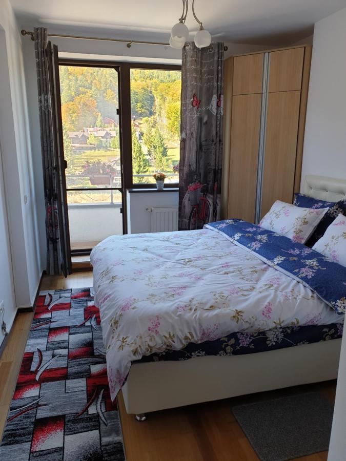 Sophie Apartament Apartment Sinaia Exterior photo