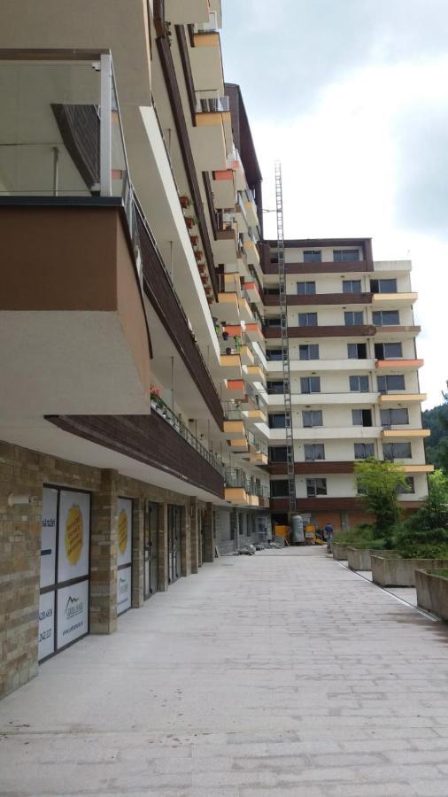 Sophie Apartament Apartment Sinaia Exterior photo