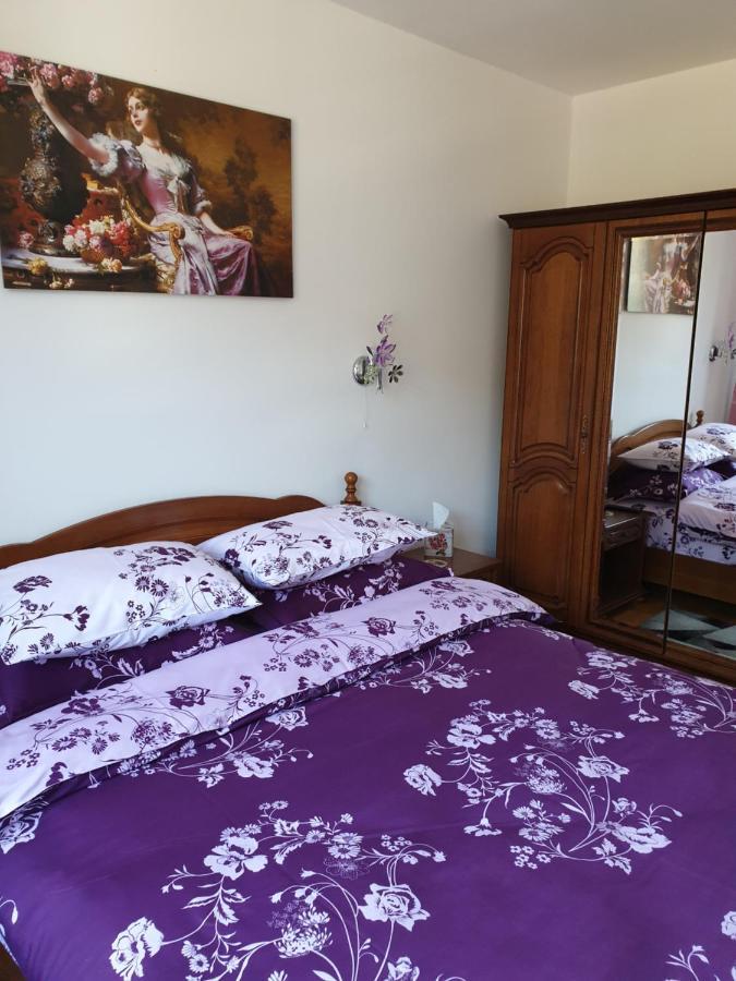 Sophie Apartament Apartment Sinaia Exterior photo