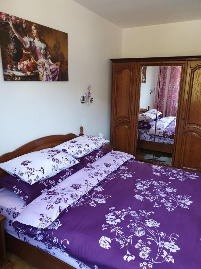 Sophie Apartament Apartment Sinaia Exterior photo