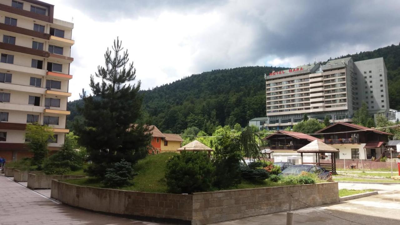 Sophie Apartament Apartment Sinaia Exterior photo