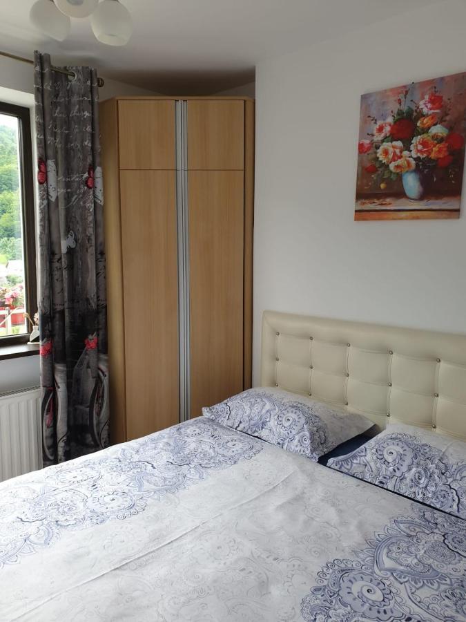 Sophie Apartament Apartment Sinaia Exterior photo