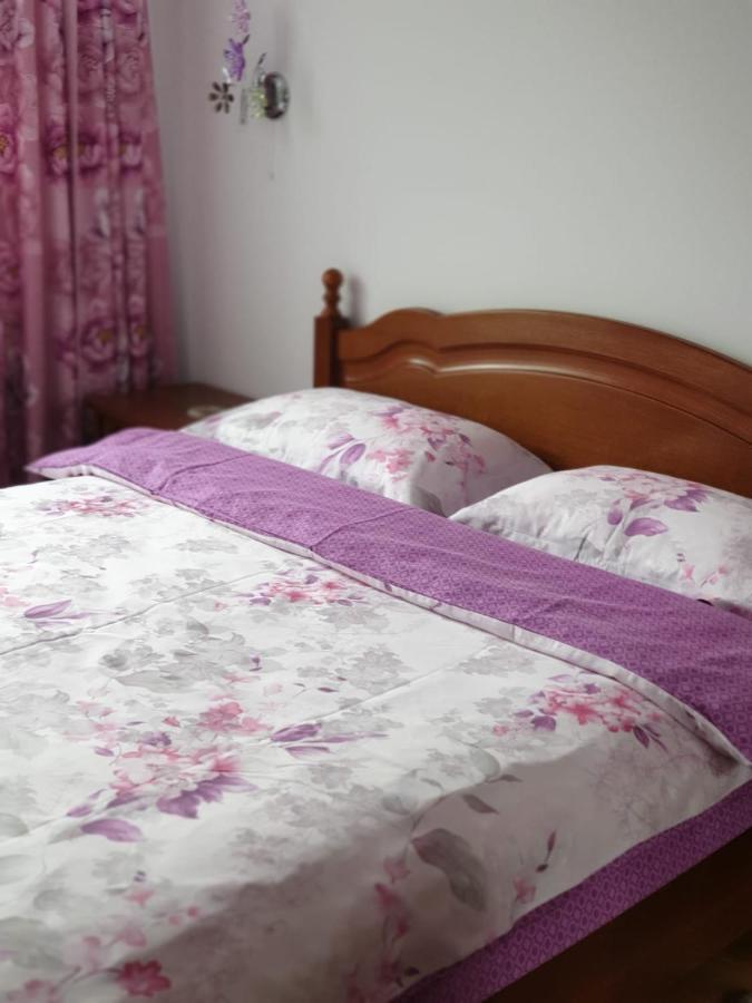 Sophie Apartament Apartment Sinaia Exterior photo