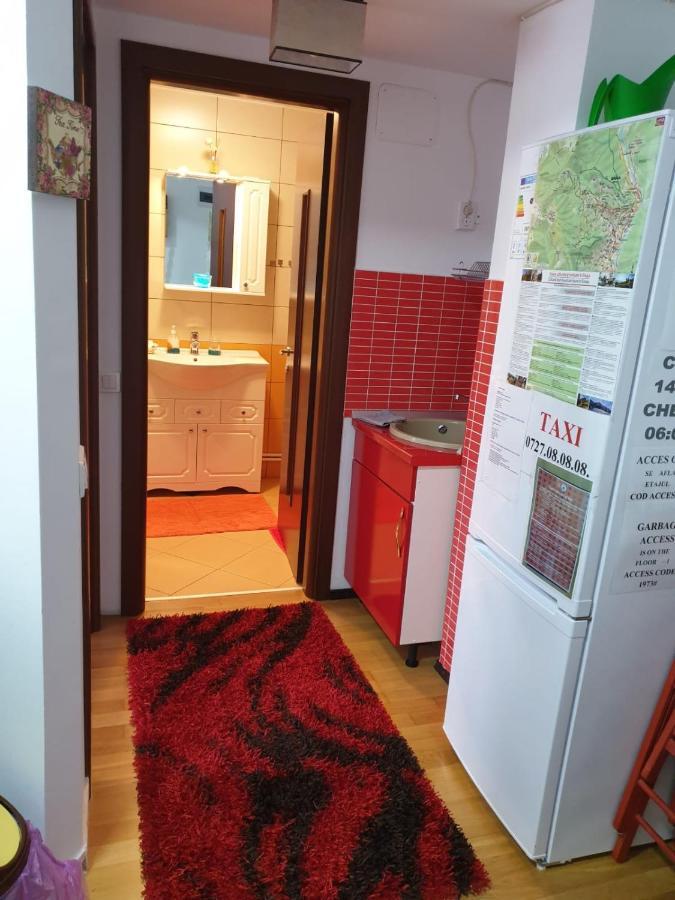 Sophie Apartament Apartment Sinaia Exterior photo