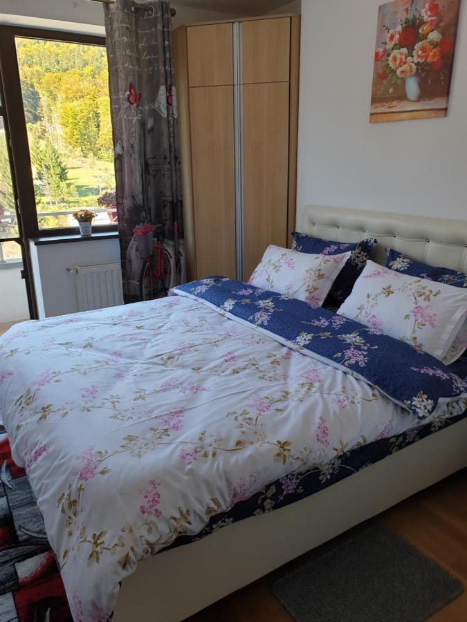 Sophie Apartament Apartment Sinaia Exterior photo