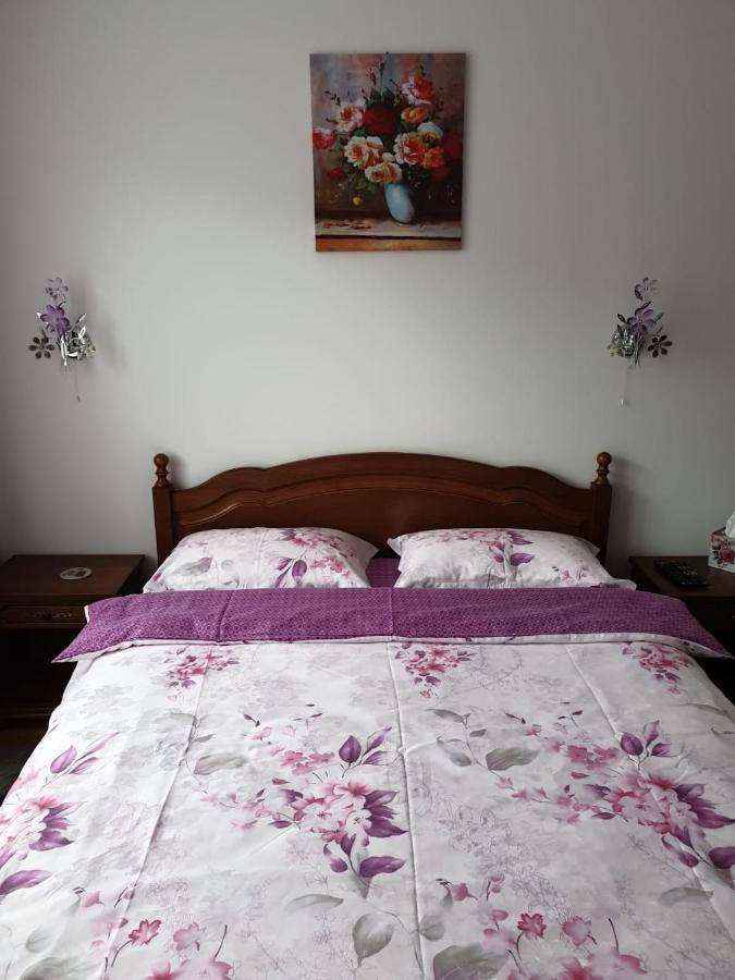 Sophie Apartament Apartment Sinaia Exterior photo