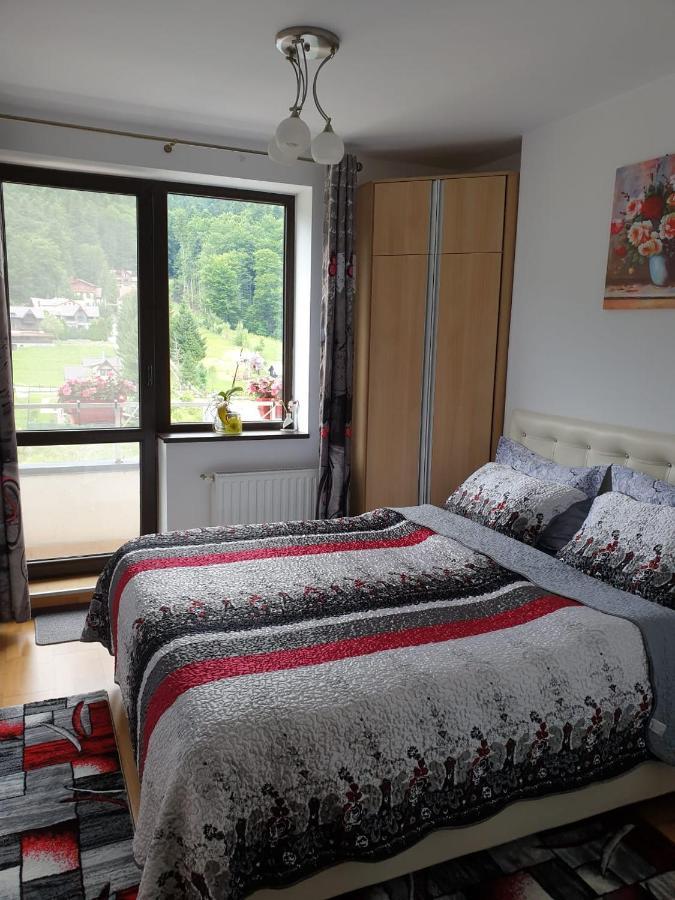 Sophie Apartament Apartment Sinaia Exterior photo