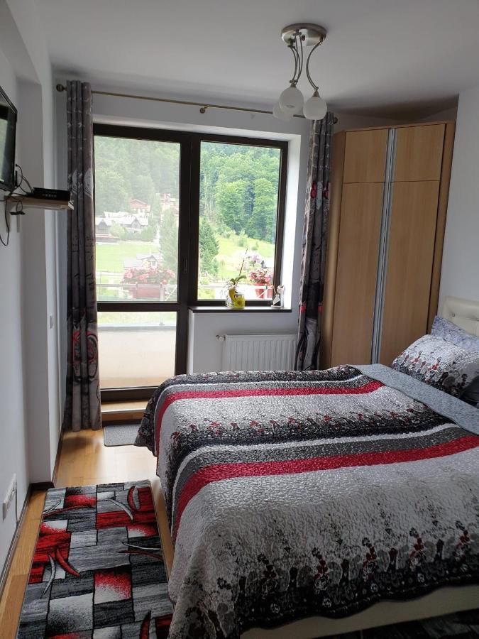 Sophie Apartament Apartment Sinaia Exterior photo