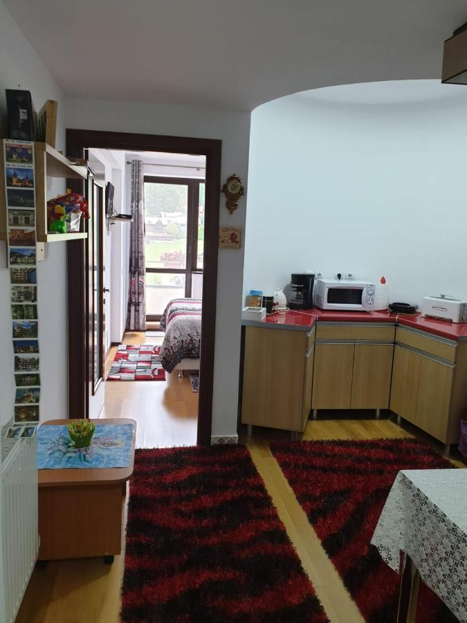 Sophie Apartament Apartment Sinaia Exterior photo