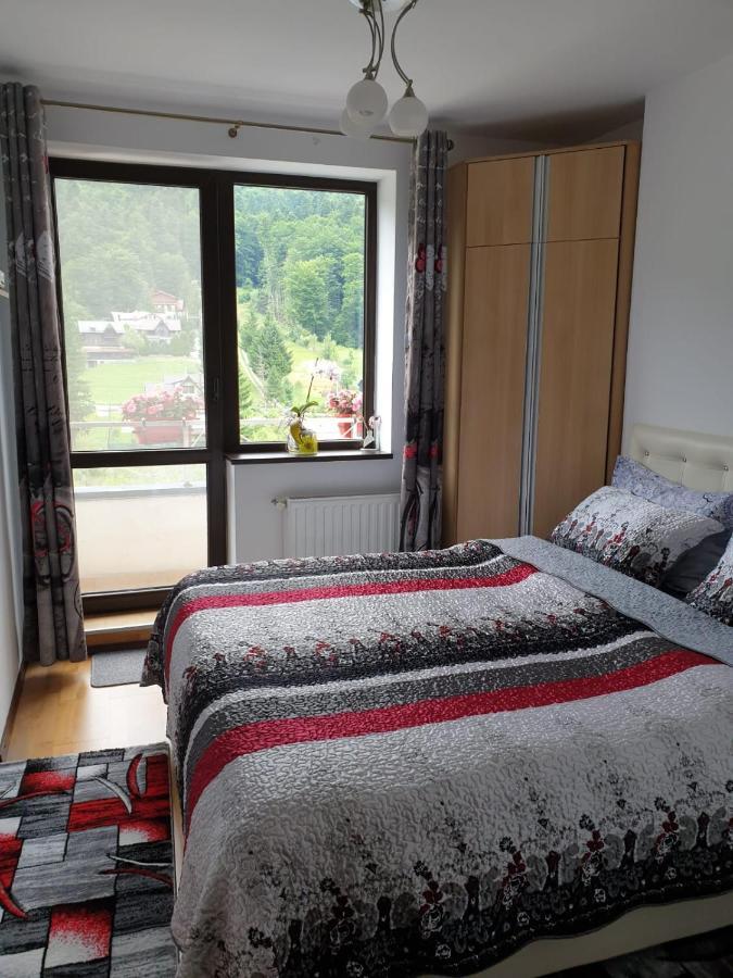 Sophie Apartament Apartment Sinaia Exterior photo