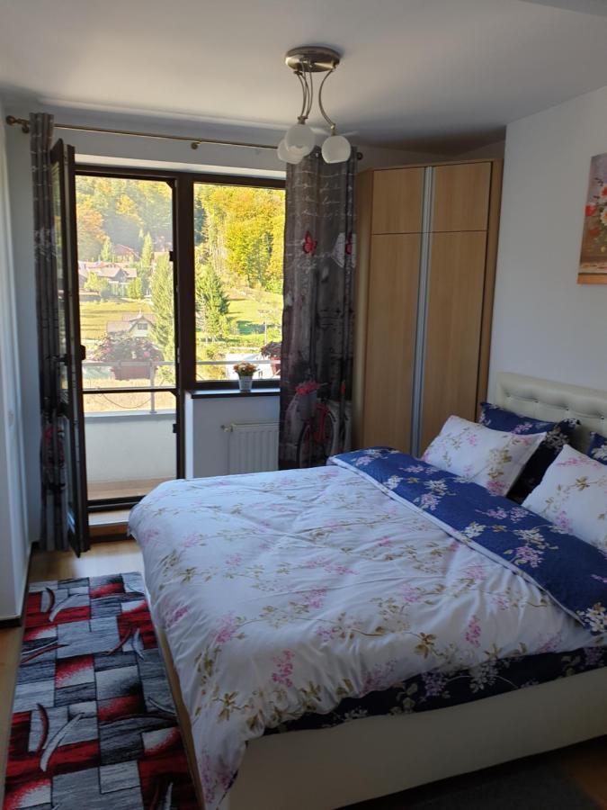 Sophie Apartament Apartment Sinaia Exterior photo